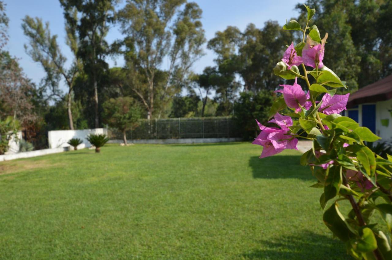 Casa Blanca B&B Latina Exteriér fotografie